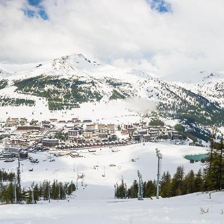 La Marmotta Campo Smith On The Ski Slopes - Happy Rentals 巴多尼奇亚 外观 照片